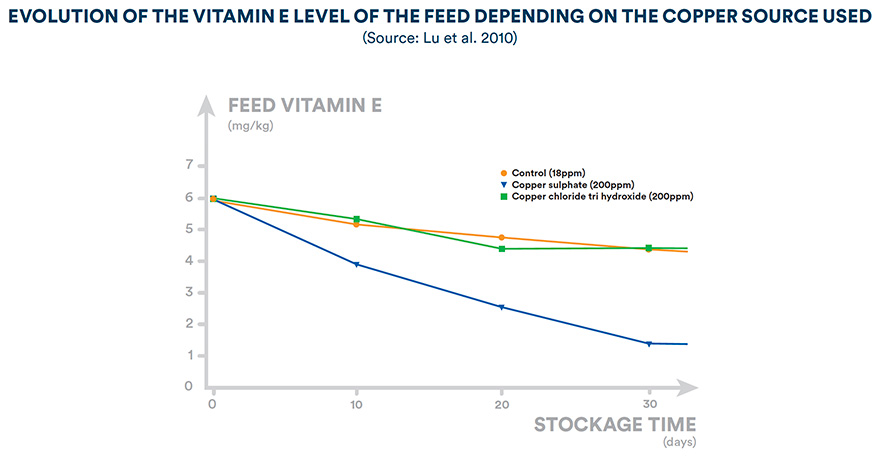 Evolution of the vitamin E level of the feed depending on the copper source used