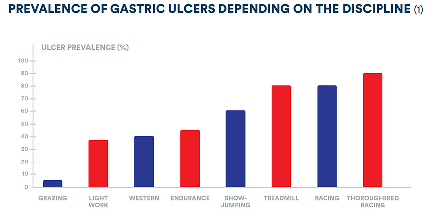 Prevalence of gastric ulcers depending on the discipline