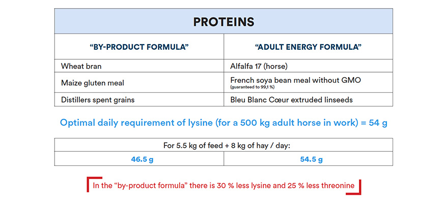 Read a label - Proteins