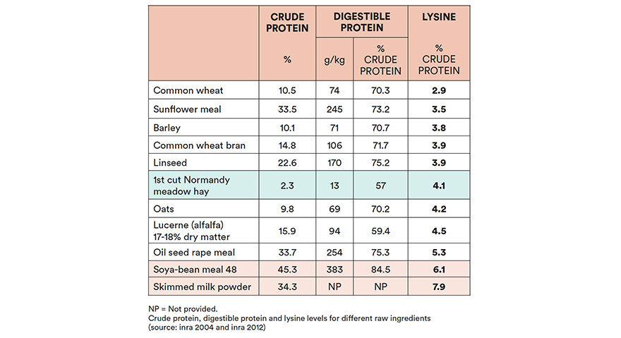 Which protein sources to choose