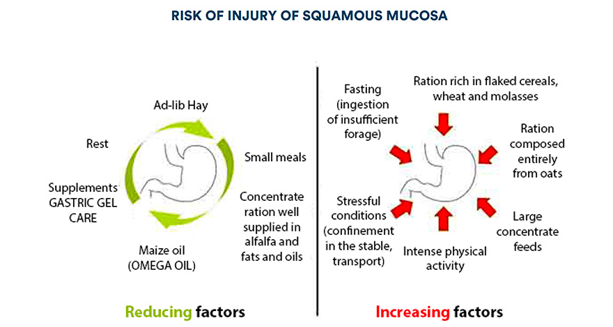 Risk of injury of squamous mucosa