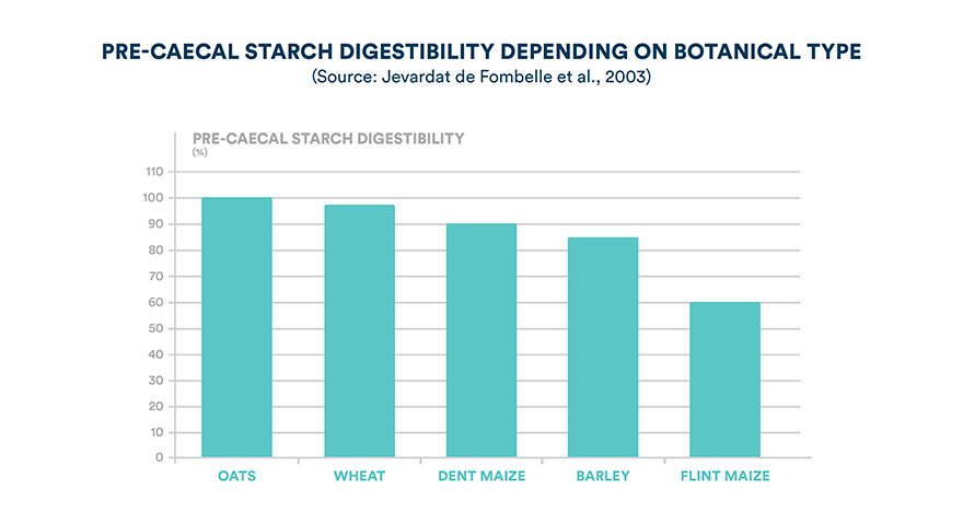 Pre-caecal starch digestibility depending on botanical type