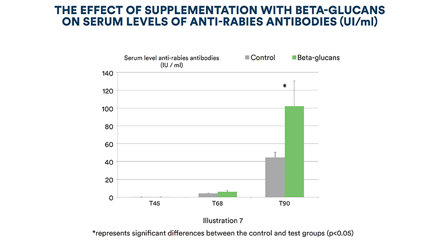 The effect of supplementation with beta-glucans on serum levels of anti-rabies antibodies (UI /ml)