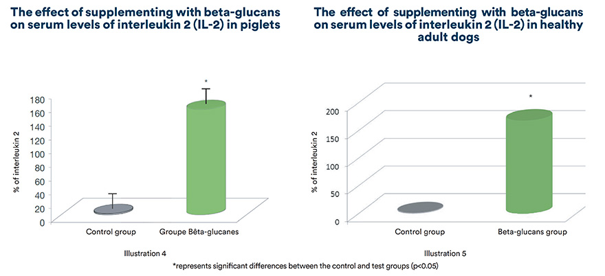 The effect of supplementing with beta-glucans on serum levels of interleukin 2 (IL-2) in piglets and adult dogs