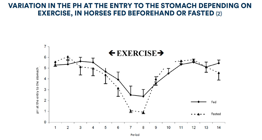 Variation in the pH at the entry to the stomach depending on exercise, in horses fed beforehand and fasted