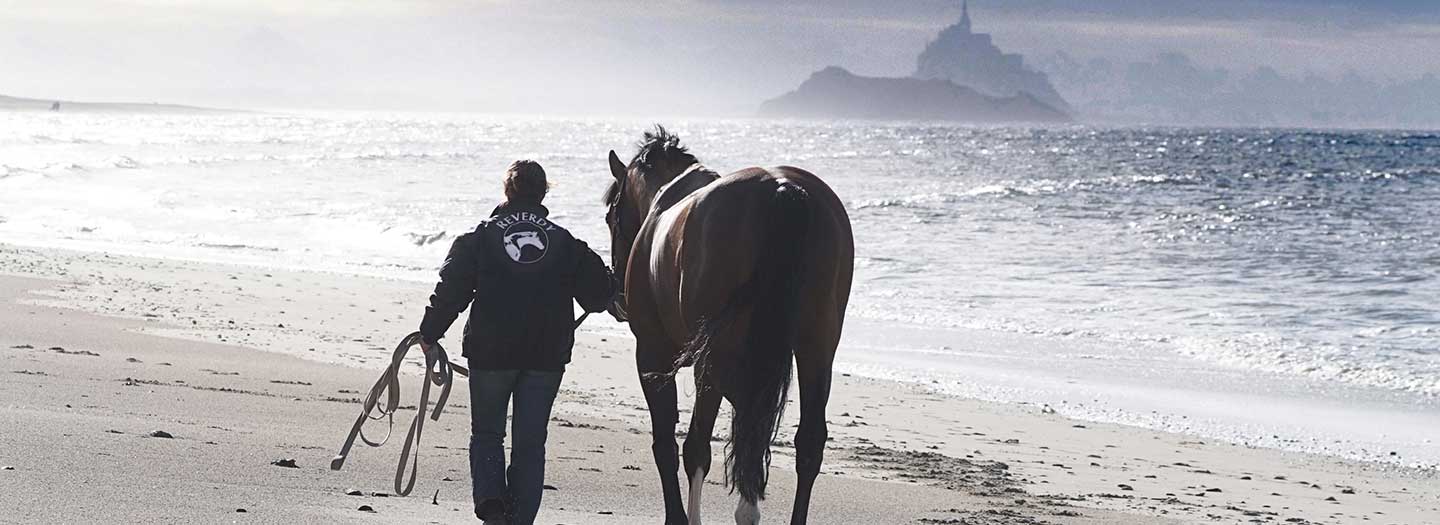 A man and a horse, walking on the beach
