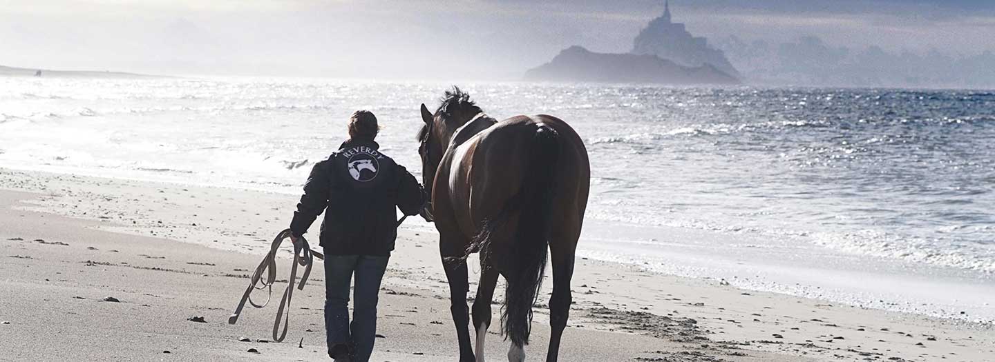 Couple Homme-Cheval sur la plage