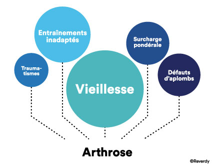 Les différentes causes de développement d'arthrose chez le cheval