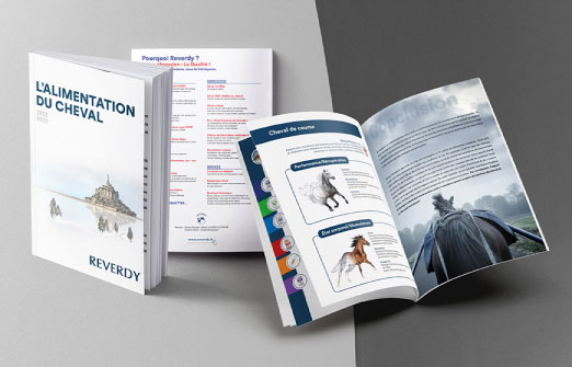 Brochure Reverdy