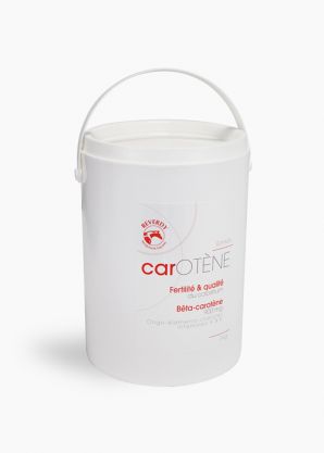 Carotène 3 kg