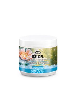 Gel refroidissant Ice Gel 500 ml