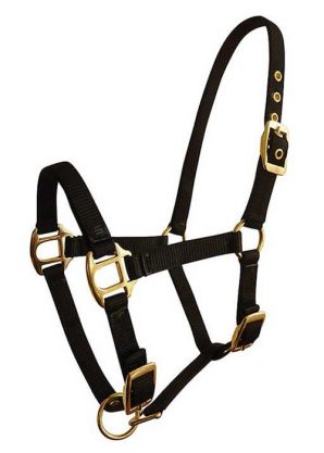 Licol poulain nylon réglable