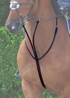Martingale à anneaux - Dy'on Collection