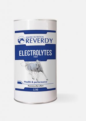 Reverdy Electrolytes Powder 2.2kg