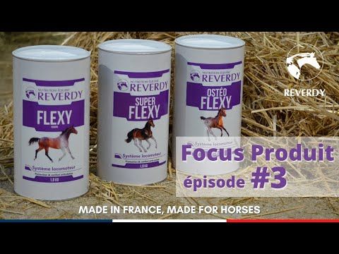 Super Flexy 1,8kg - Produit Articulation