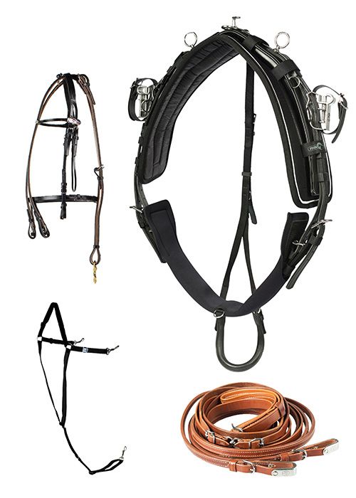Harnais QH Pro complet