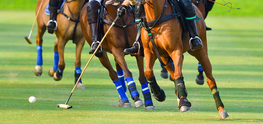 Les « coups de sang »