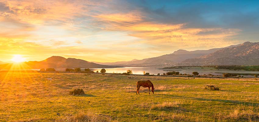 Une nouvelle cause de troubles hépatiques d’origine toxique