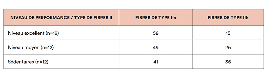 Niveau de performance / Type de Fibres II