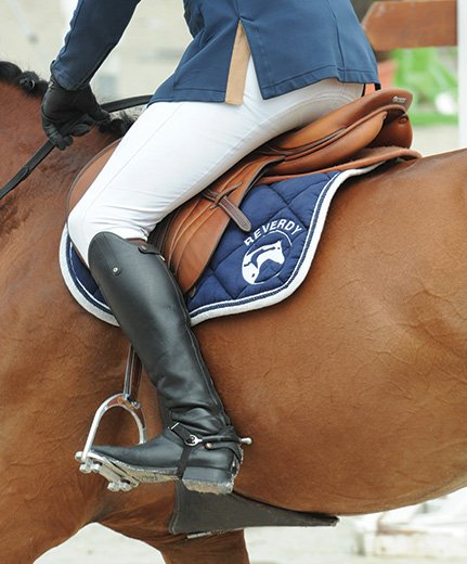 Nutrition équine de qualité