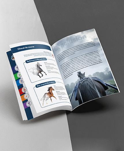 Equine Nutrition